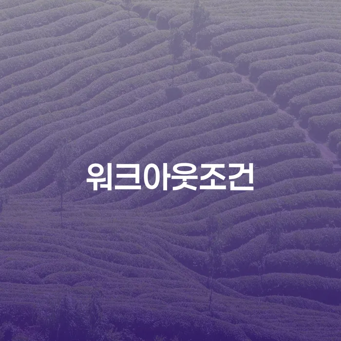 개인회생장점 빚갚는 방법 잘 하는 곳