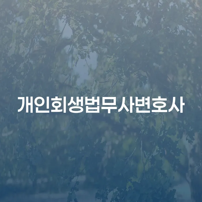 개인회생폐지후재신청 빚갚는 방법 법무사추천