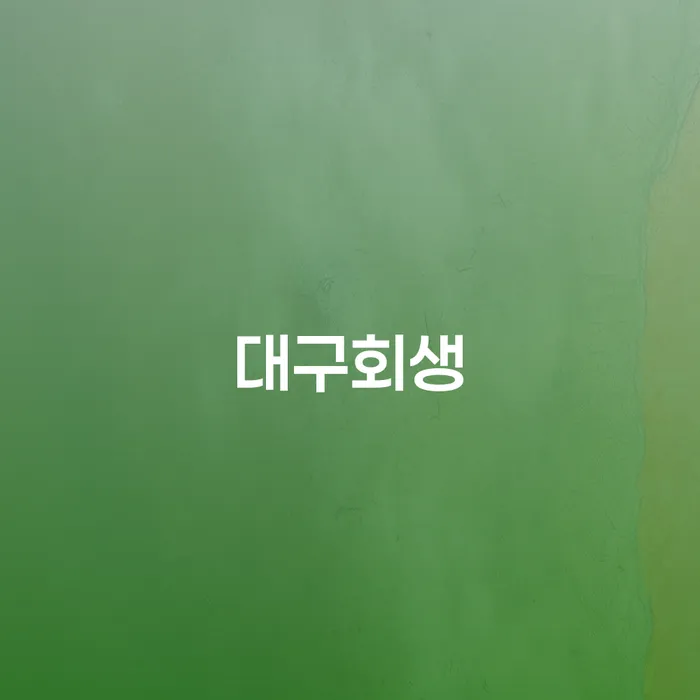 파산면책기간 채무조정제도을 이용하여 잘하는 변호사