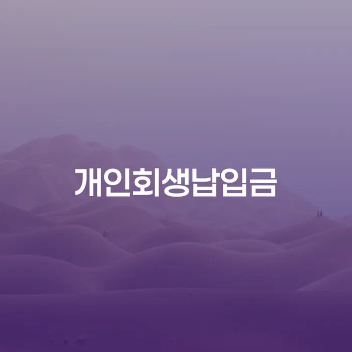 카드값 석달 연체 개인회생 해결하기