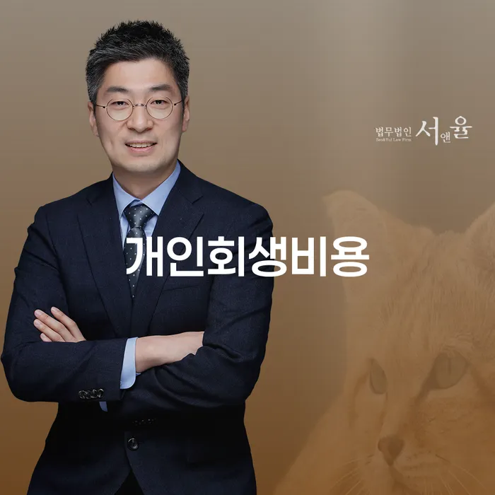 개인회생전문 빚 해결할 관련정보