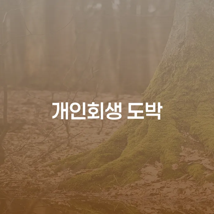신용불량자사업자등록 개인회생으로 현명하게 알아봐야 할 사항