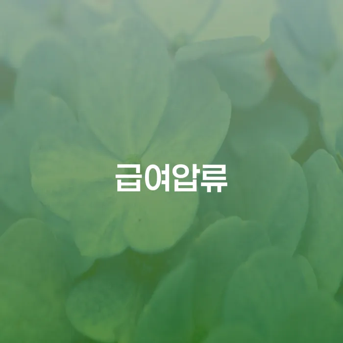 개인회생소득 개인회생 처리방법 궁금하다면..