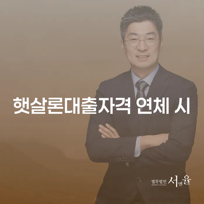 저축은행대출 연체 시 채무조정제도을 이용하여 체크리스트