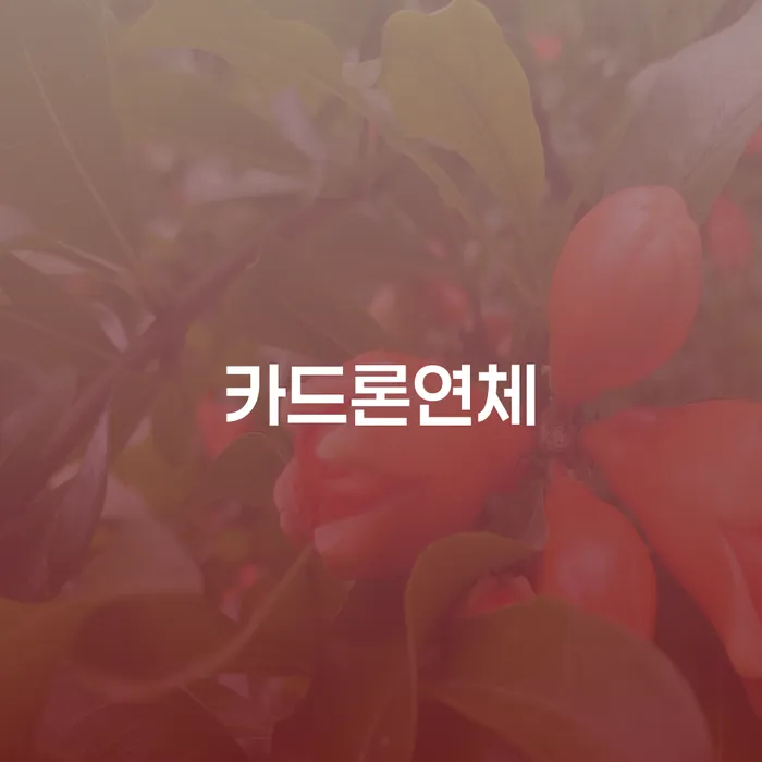 개인회생변제기간 개인회생으로 해결방법 전략은 이렇게