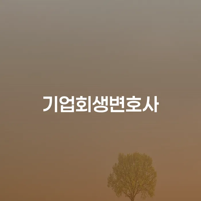 양양군 신용카드 연체 개인회생 처리방법 관련정보