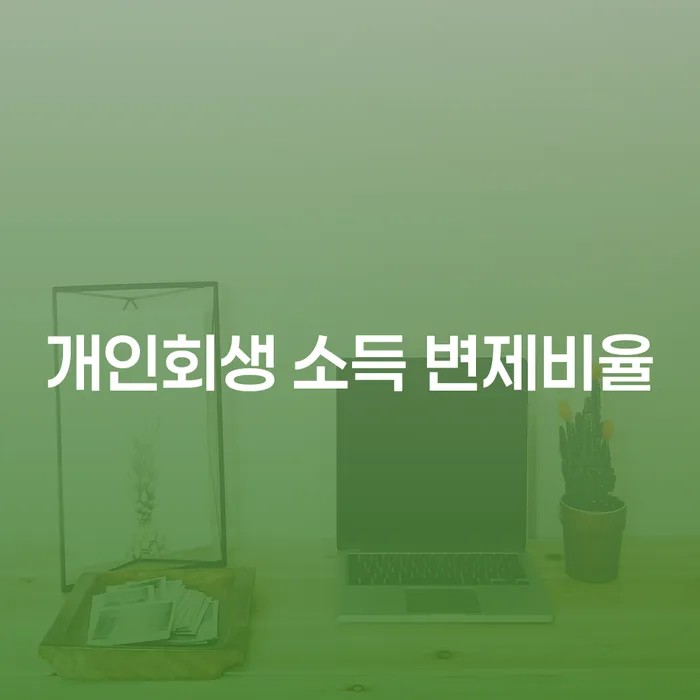 개인회생 소득 변제비율, 어떻게 결정되나요?
