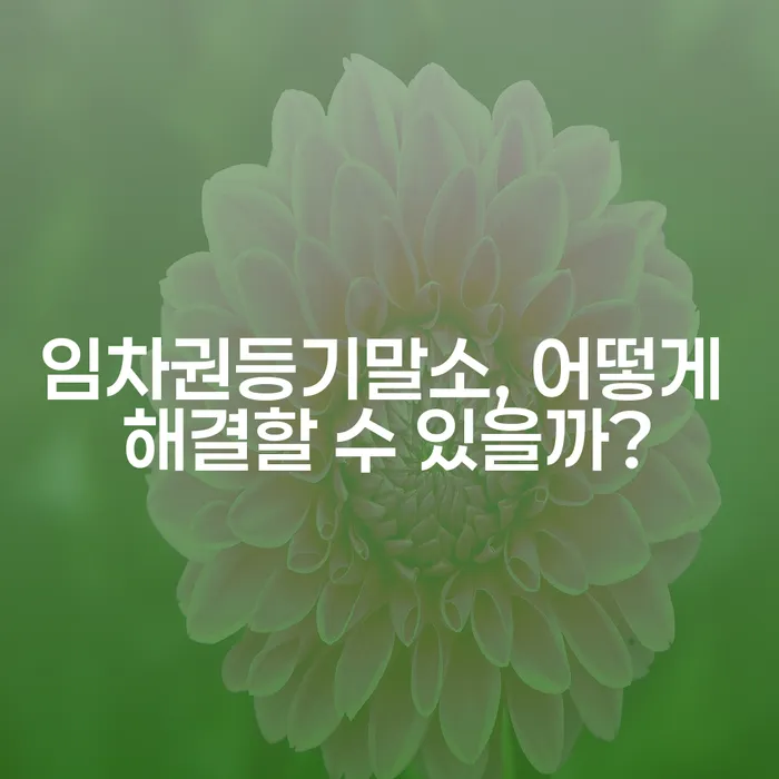 임차권등기말소, 어떻게 해결할 수 있을까?