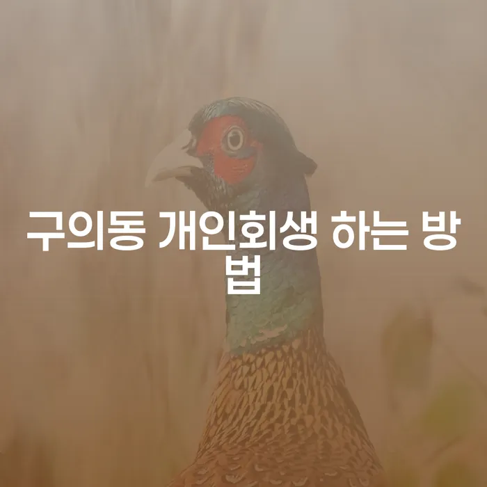 구의동에서 개인회생을 성공적으로 신청하는 방법은 무엇인가요?